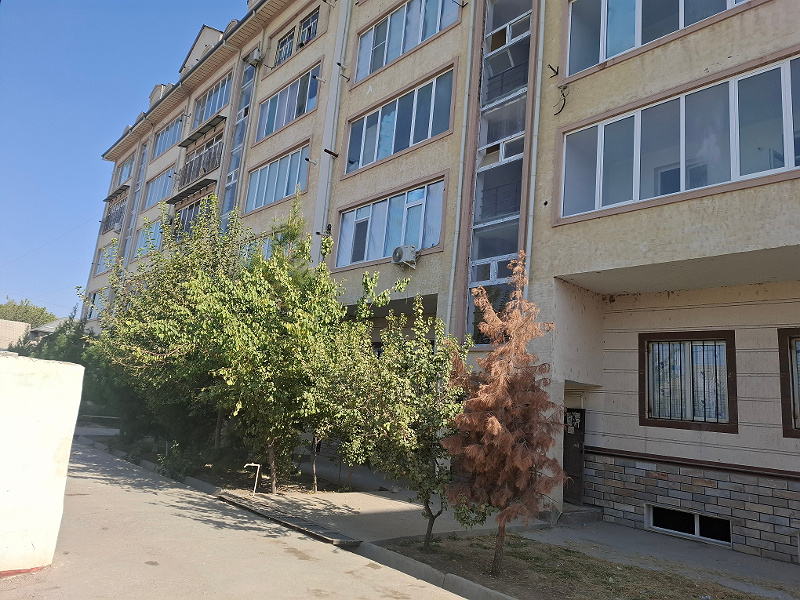 Фото лота: Квартира в многоэтажном доме, фото 1 из 6