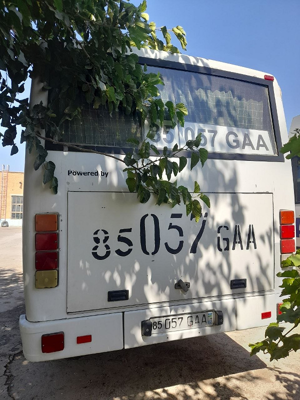 Фото лота: MIDIBUS ISUZU SAZ, фото 3 из 9