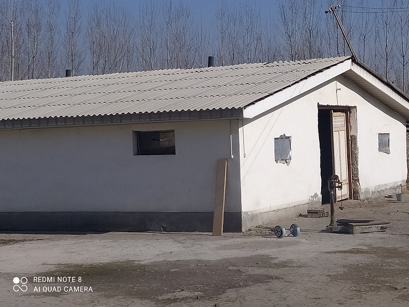 Фото лота: Здания «Узагрохимзащита», фото 2 из 4