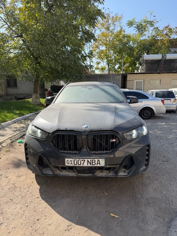 Фото лота: BMW X6 M60I XDRIVE, фото 1 из 12