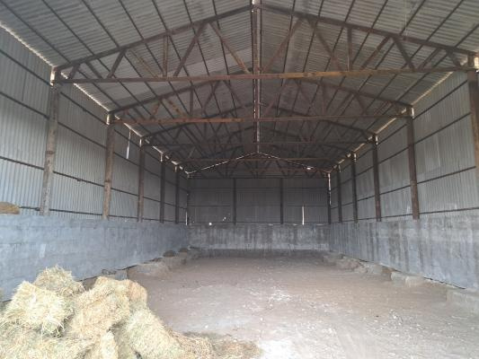 Фото лота: Нежилое помещение, фото 7 из 23