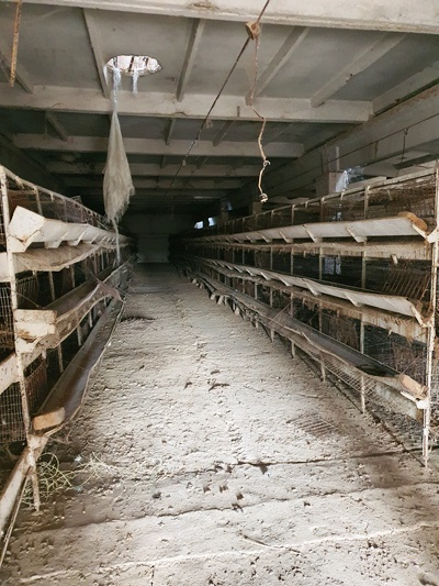 Фото лота: Нежилое помещение, фото 18 из 32