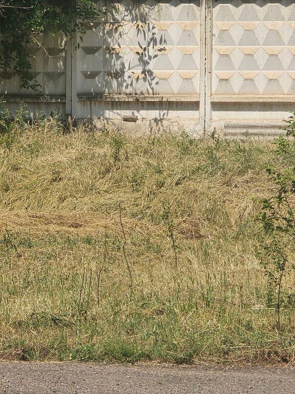 Фото лота: Аренда гособъектов операторам связи, фото 2 из 4