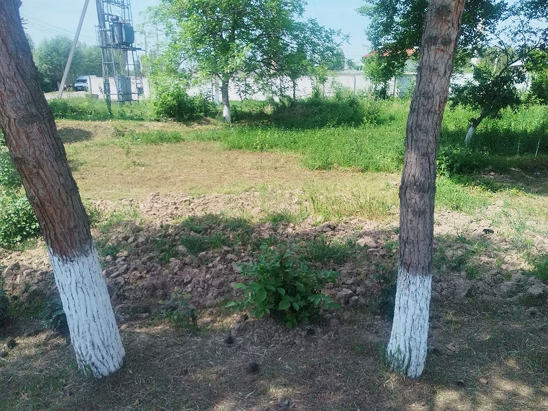 Фото лота: Аренда гособъектов операторам связи, фото 3 из 4