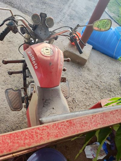 Фото лота: REAL MOTO RM 200ZH2, фото 12 из 12