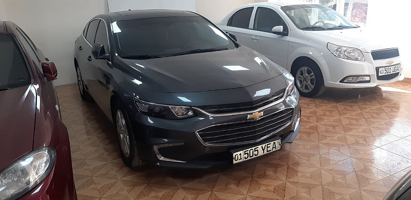 Фото лота: MALIBU-2 MALBDB2TL (2 p, turbo), фото 1 из 13