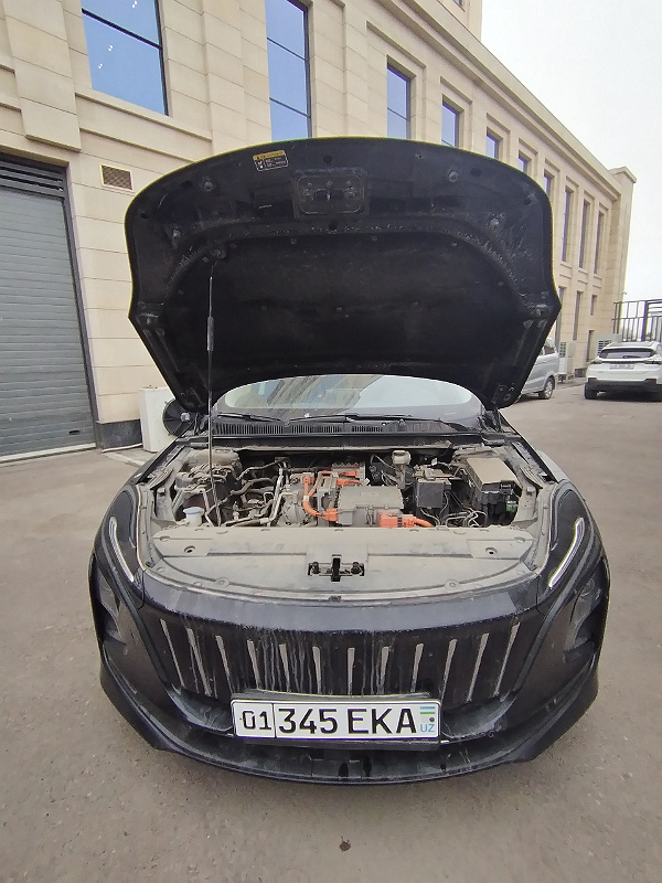Фото лота: HONGQI EQM5, фото 8 из 8