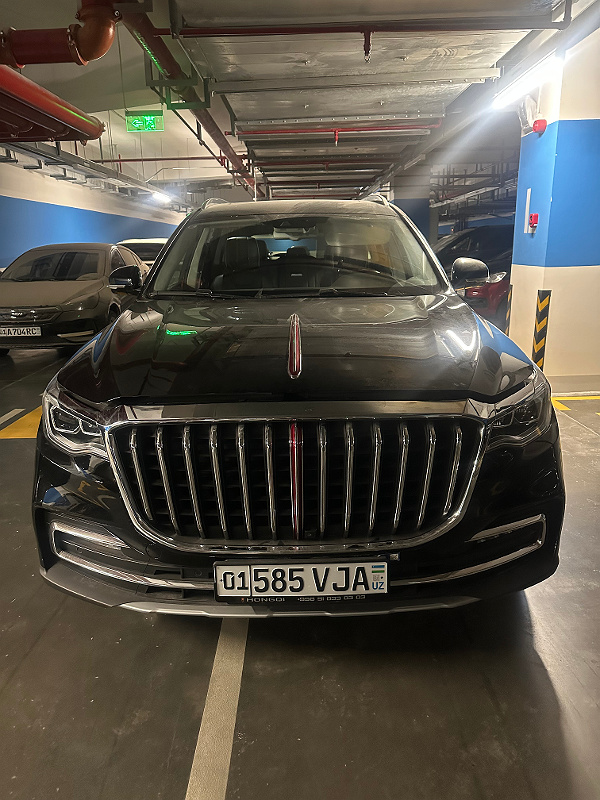 Фото лота: HONGQI HS7 FLAG AWD, фото 9 из 12