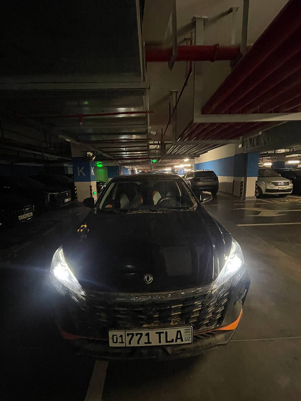 Фото лота: DONGFENG PASSANGER CAR AEOLUS, фото 1 из 7