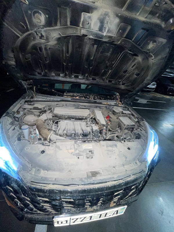 Фото лота: DONGFENG PASSANGER CAR AEOLUS, фото 7 из 7