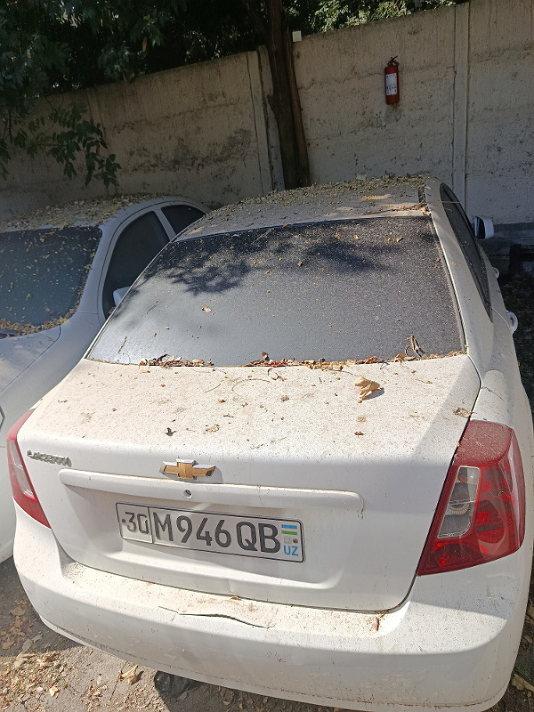 Фото лота: CHEVROLET LACETTI, фото 11 из 11