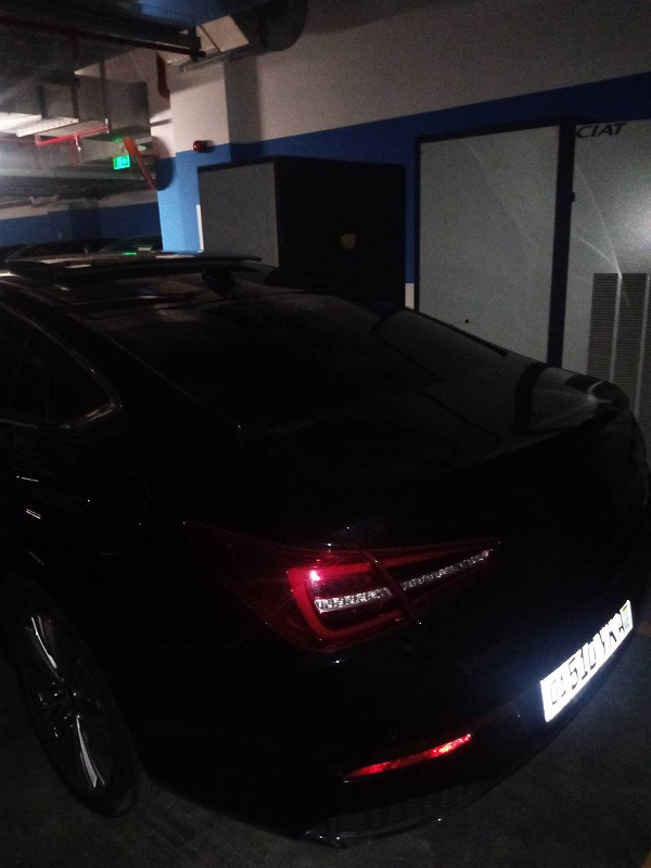 Фото лота: HONGQI H5 FLAGSHIP, фото 2 из 6