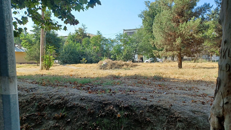Фото лота: Аренда госимущества, фото 1 из 4