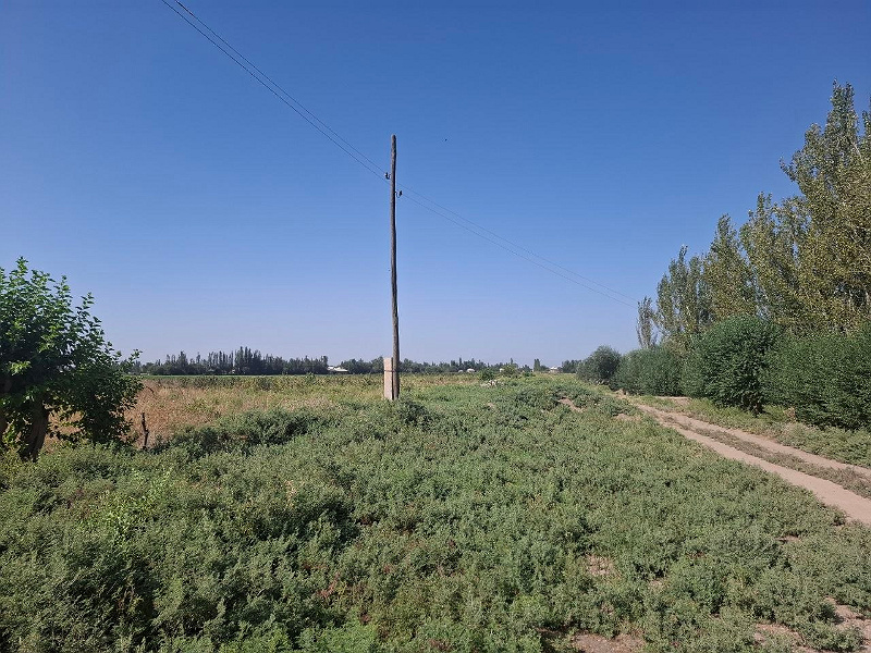 Фото лота: Прочая недвижимость, фото 2 из 18