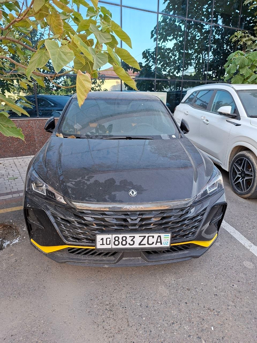 DONGFENG PASSENGER C