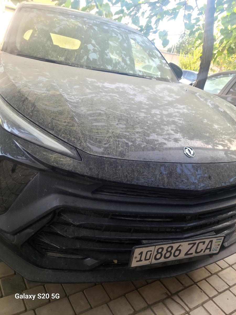 DONGFENG AEOLUS HUGE HEV