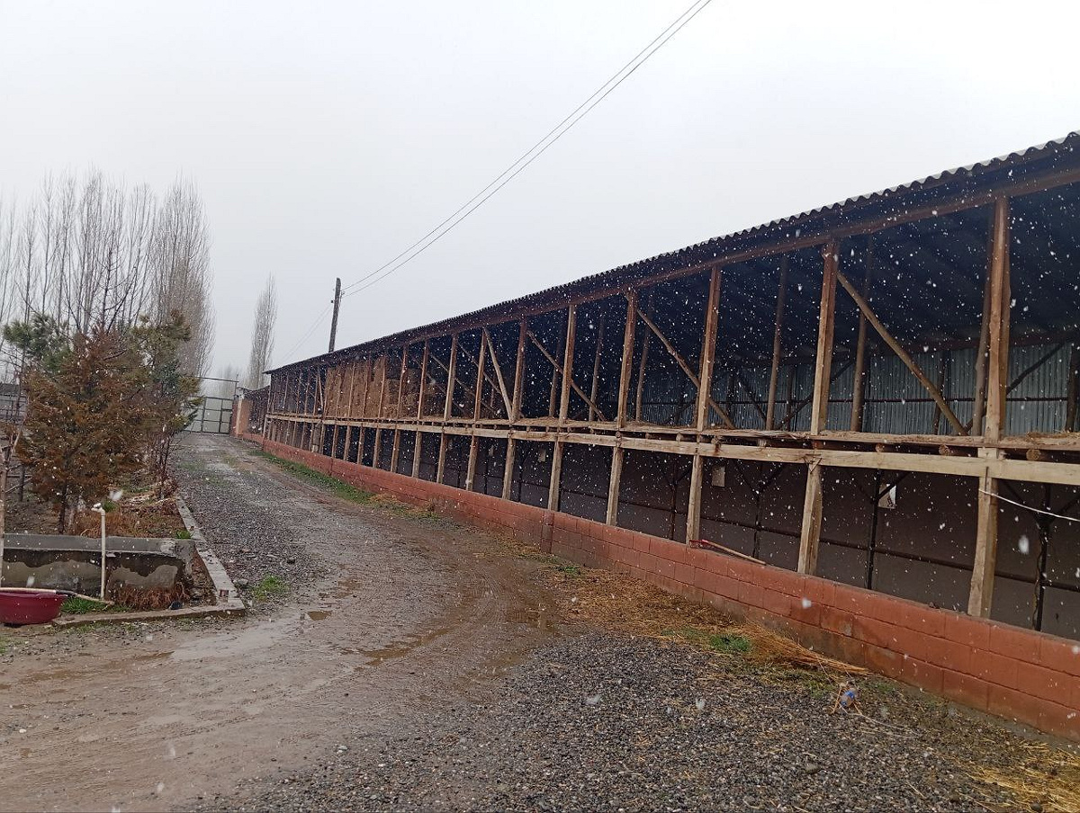 Chorva binosi inshoatlari