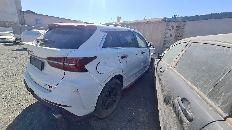 Фото лота: SHINERAY SHINERAY SUV G01 LUXURY, фото 4 из 13