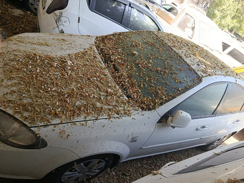 Фото лота: CHEVROLET LACETTI, фото 9 из 11
