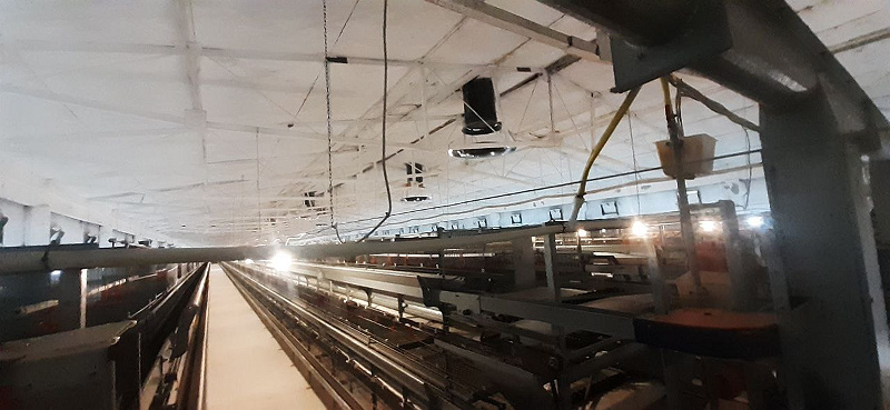 Фото лота: Нежилое помещение, фото 9 из 10