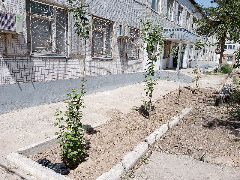 Фото лота: Нежилое помещение, фото 7 из 8