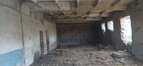 Фото лота: Нежилое помещение, фото 4 из 12