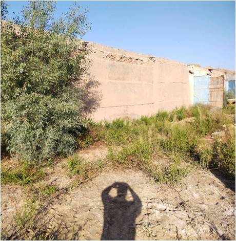 Фото лота: Здания «Узагрохимзащита», фото 4 из 4