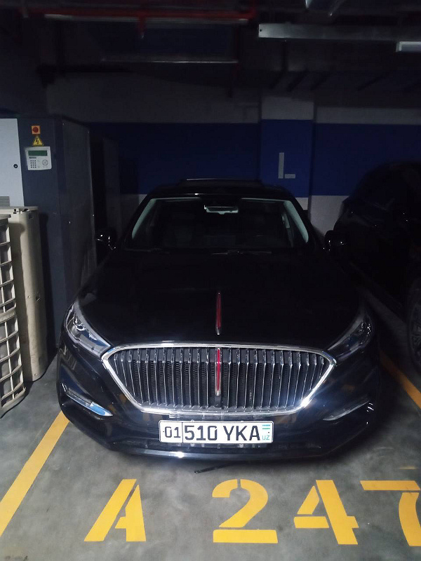 Фото лота: HONGQI H5 FLAGSHIP, фото 1 из 6