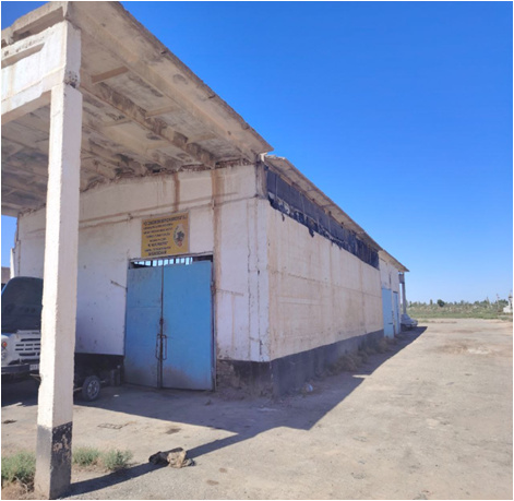 Фото лота: Здания «Узагрохимзащита», фото 1 из 4