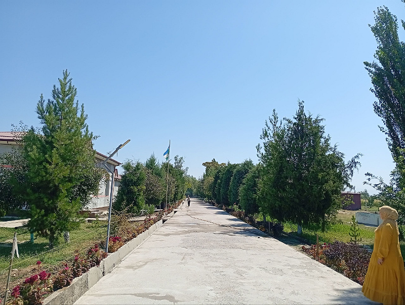 Фото лота: Аренда госимущества, фото 4 из 6
