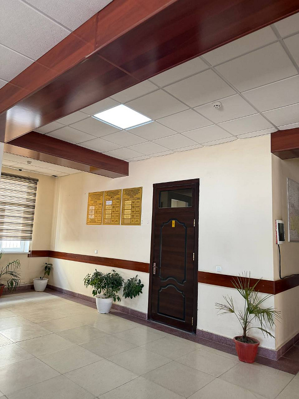 Фото лота: Нежилое здание, фото 7 из 11