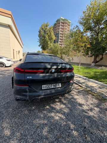 Фото лота: BMW X6 M60I XDRIVE, фото 11 из 12