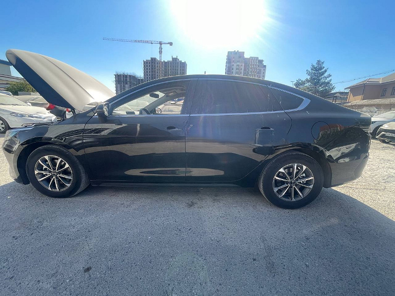 Фото лота: BYD CHAZOR CHAMPION DM-I 55 KM LU, фото 4 из 10