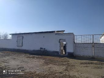 Фото лота: Здания «Узагрохимзащита», фото 1 из 11