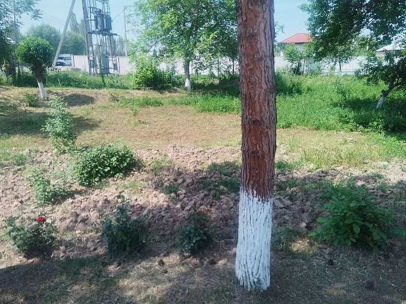 Фото лота: Аренда гособъектов операторам связи, фото 4 из 4