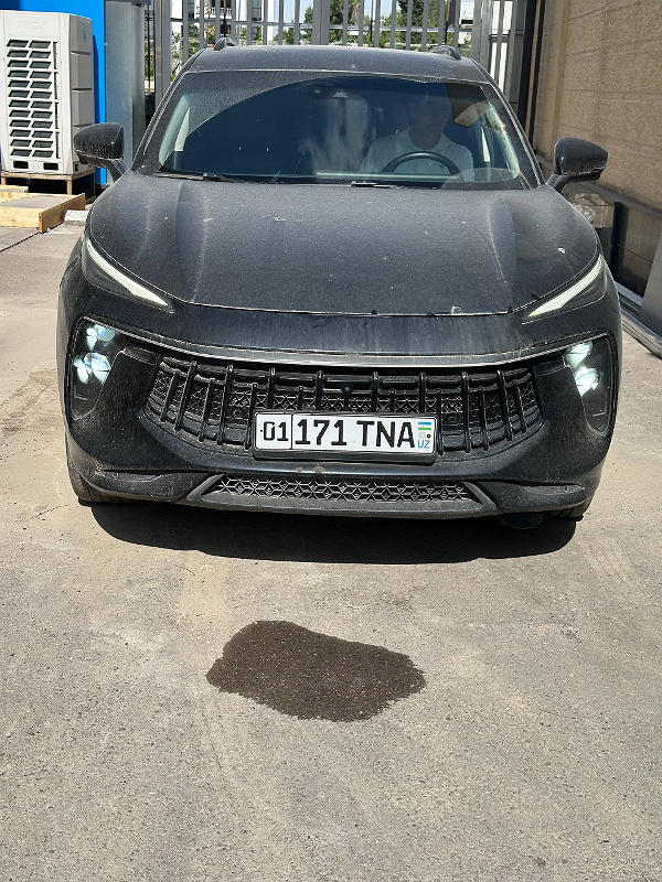Фото лота: DONGFENG PASSENGER CAR T5 EVO, фото 1 из 10