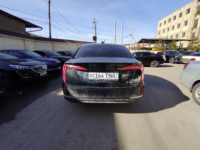Фото лота: HONGQI EQM5, фото 3 из 8