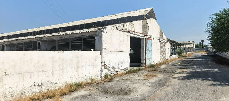 Фото лота: Нежилое здание, фото 4 из 8