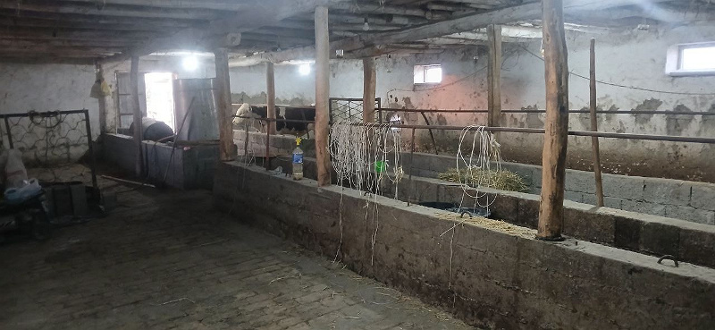 Фото лота: Нежилое помещение, фото 8 из 14