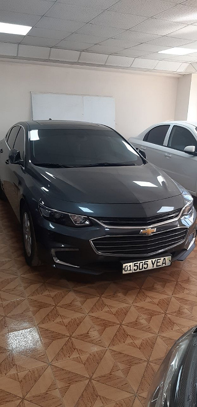 Фото лота: MALIBU-2 MALBDB2TL (2 p, turbo), фото 5 из 13