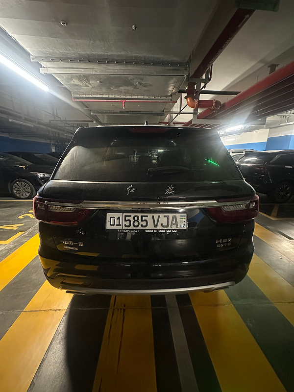Фото лота: HONGQI HS7 FLAG AWD, фото 7 из 12