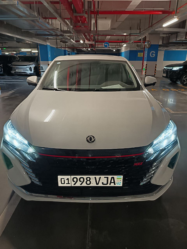 Фото лота: DONGFENG Aeolus Yixuan Max, фото 1 из 13