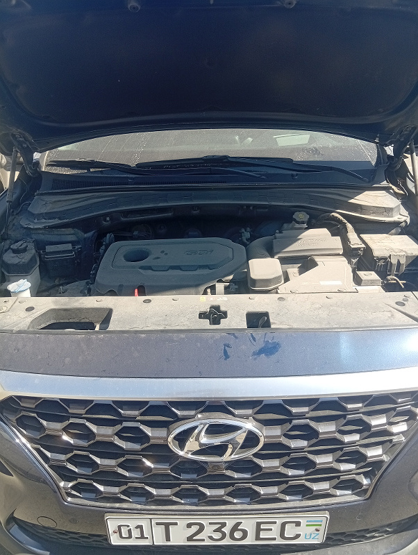 Фото лота: HYUNDAI SANTA FE, фото 3 из 15