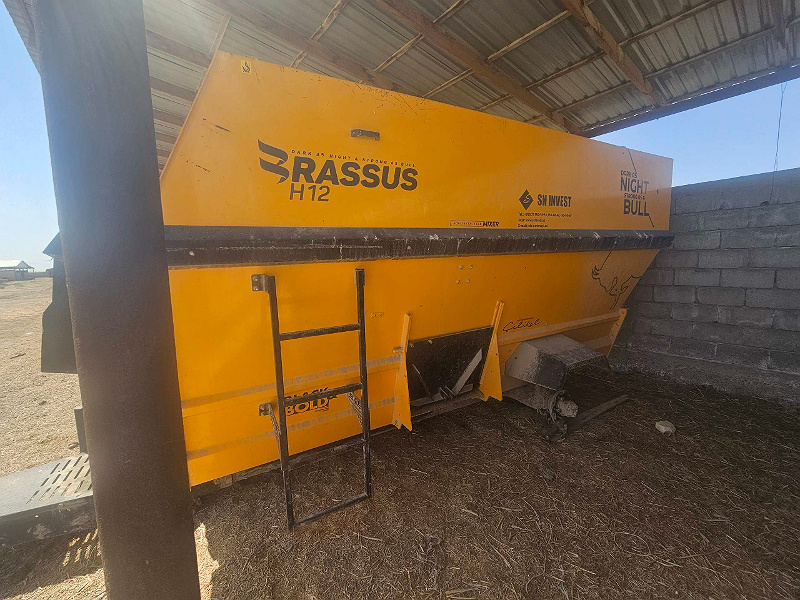 Фото лота: BRASSUS H12, фото 2 из 7