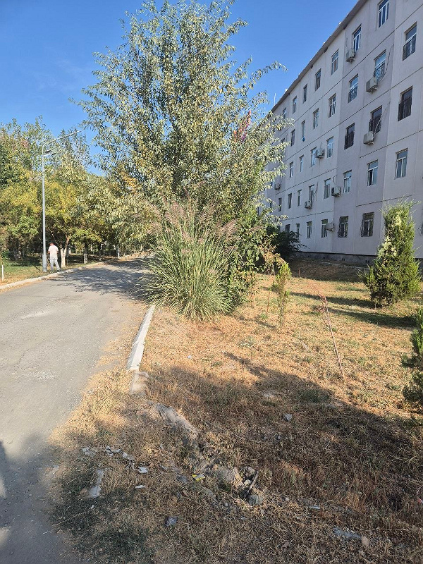 Фото лота: Аренда гособъектов операторам связи, фото 1 из 4